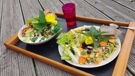 Atelier de cuisine "Découverte de l'alimentation vivante"