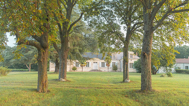 Château de thésée