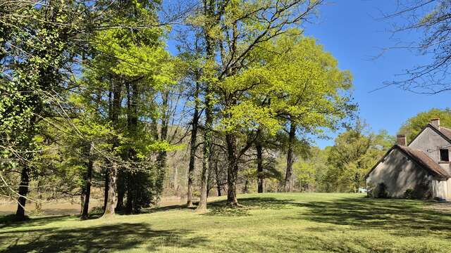 Domaine des aulnaies - touraine cottage