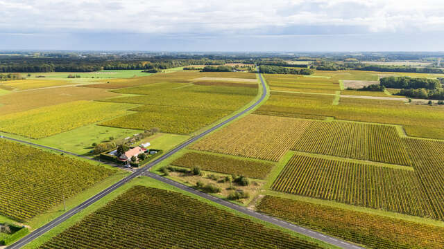 Domaine Pré Baron