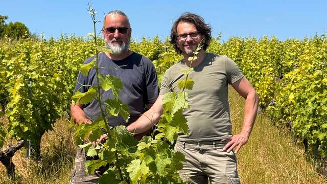 Domaine les braconniers