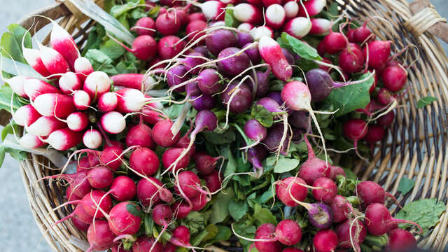 Marché hebdomadaire de Morée