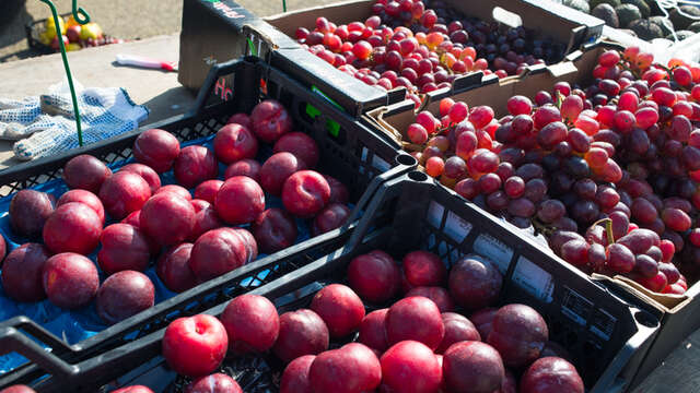 Marché de la Vallée-de-Ronsard à Couture-sur-Loir