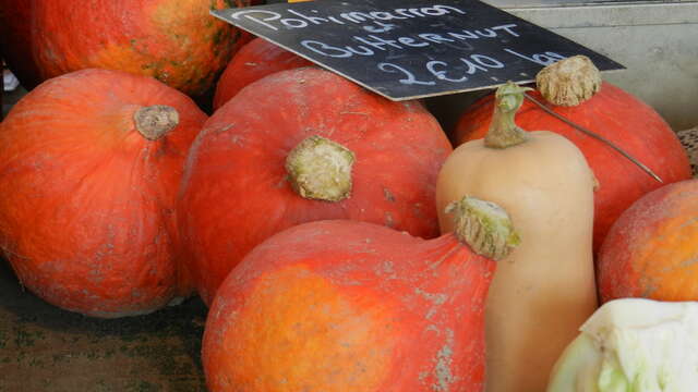 Marché de Selommes