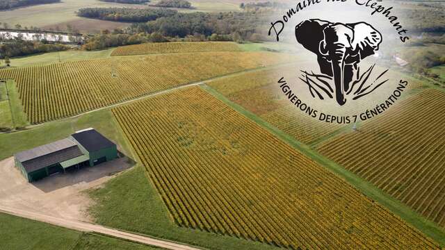 Domaine des éléphants