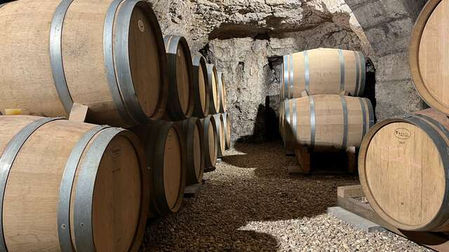 Domaine Patrice COLIN