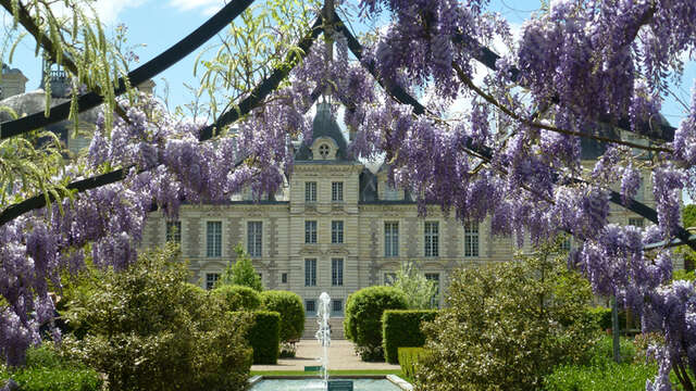 Château de Cheverny
