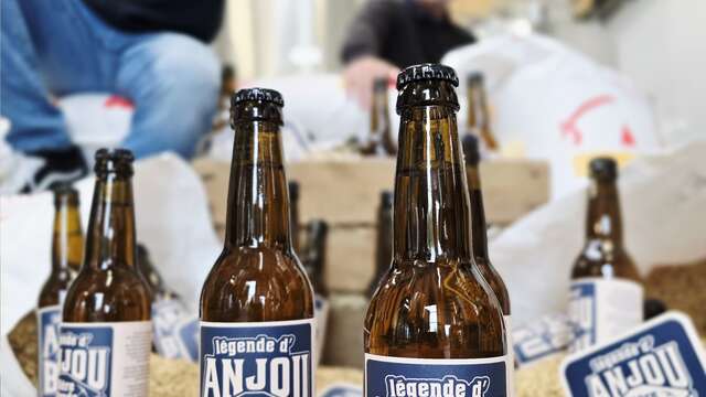 Brasserie Anj'ou Démon