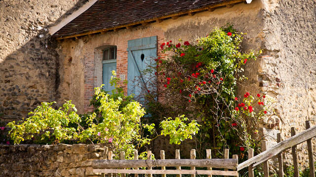 Circuit de la photographie