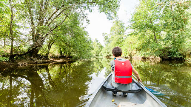 Balade en barque et canoë - L'Orbière