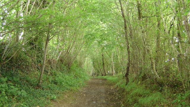 Entre tuffeau et grès roussard