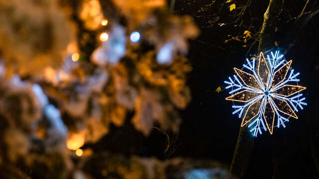 La Dacterie, quartier de Lumières