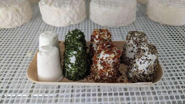 Les Chèvres de St Céneri