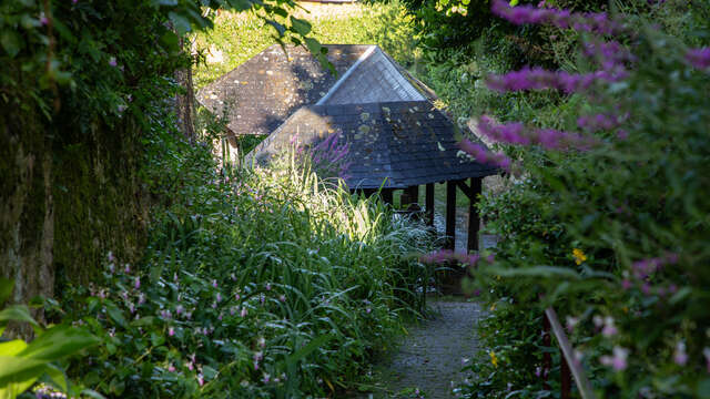 Sur les pas des Croisés