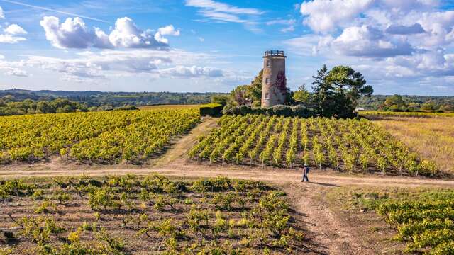 BOUCLE CIRCUIT ENTRE SEVRE ET CÔTEAUX