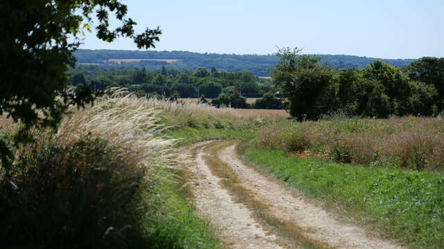 Autour du Saint-Symphorien
