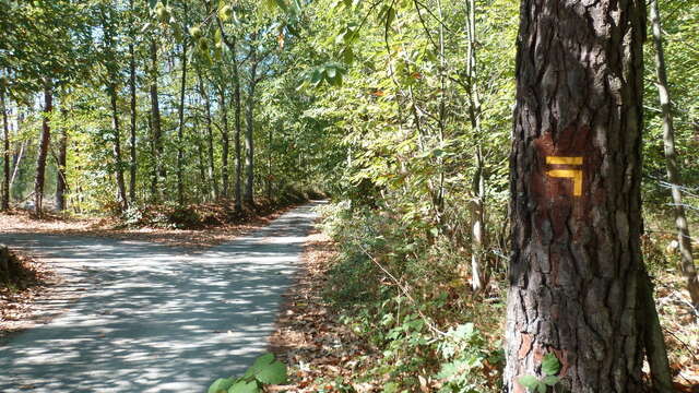 Manoirs et belles demeures