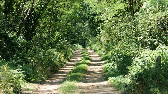 Circuit des deux chênes