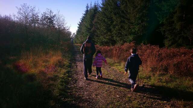 Randonnée pédestre de Noël