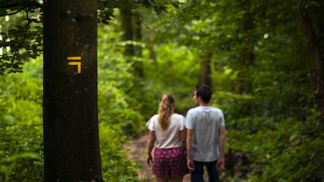 Le bois de Roussigny