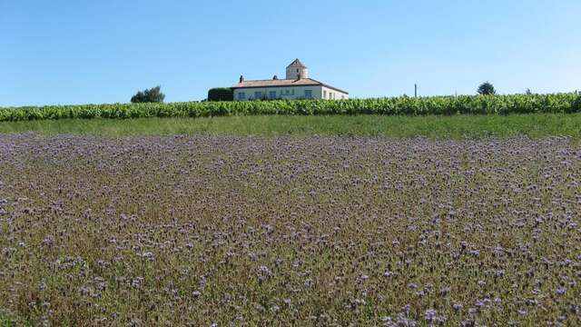 BOUCLE CIRCUIT DES COTEAUX