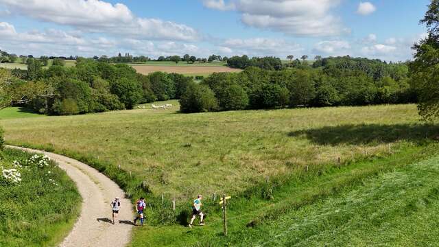 Sur la Voie Romaine - Trail