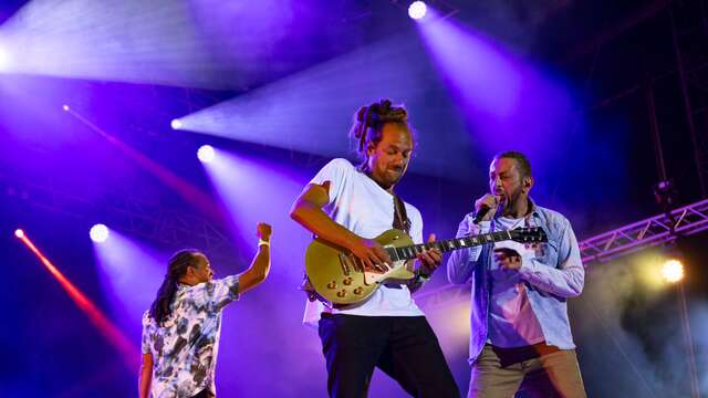 Festival Ecaussystème : Les concerts du Vendredi