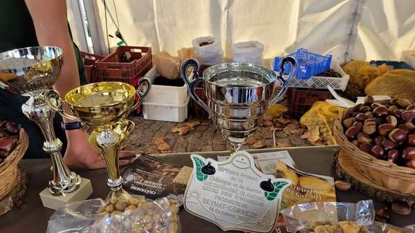 Fête de la Châtaigne et du marron