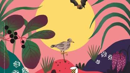 Fête de la Nature à Lalbenque