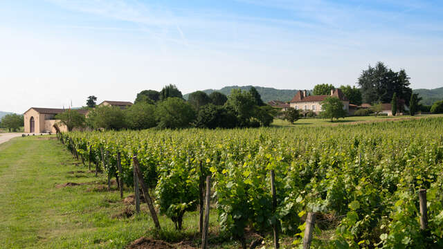 Château Gautoul