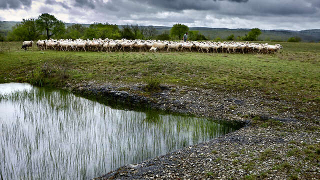Exposition ParcourS, un regard sur le paysage