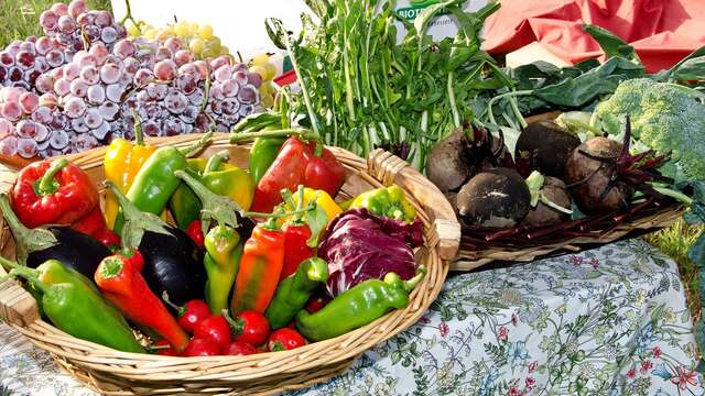 Marché de Producteurs à Floressas