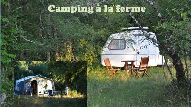 Camping à la Ferme Les Petits Equins