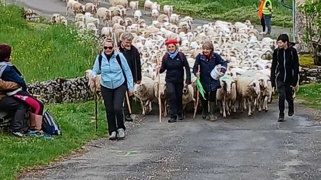 Repas de la Transhumance, à Séniergues