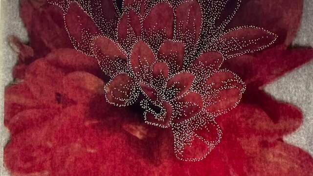 Exposition d'art - le jardin extraordinaire de M. Chaudun