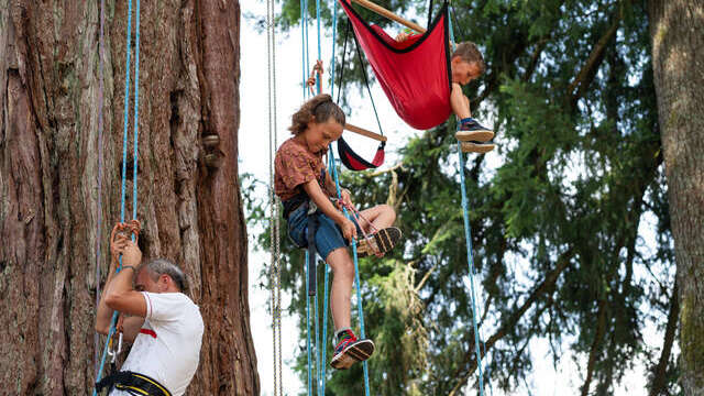 Atelier initiation à la "grimpe d'arbre"