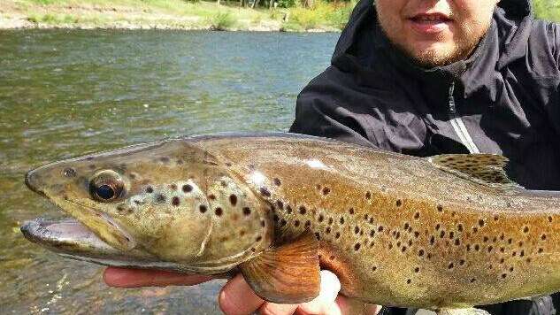 Mickaël Andrieu - Moniteur Guide de Pêche