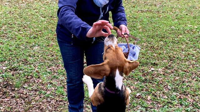 Visite de la truffière à Truffes Passion