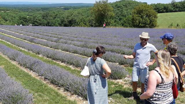 Rando et parcours d'orientation ludique