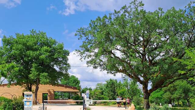 Camping les Campagnes