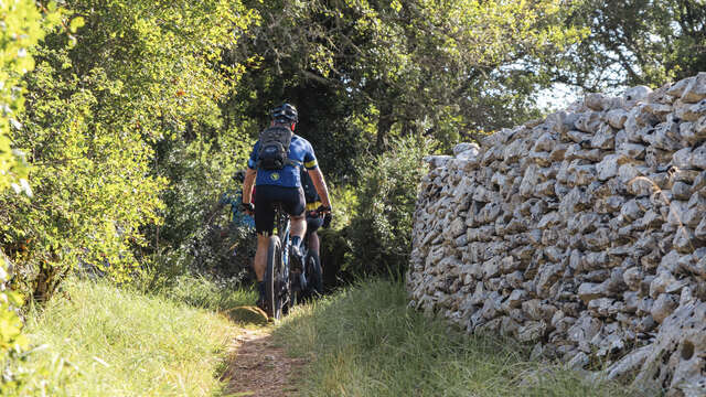 Le chemin des Dolmens et des Cazelles
