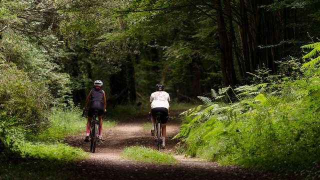 Au gré de la Thèze