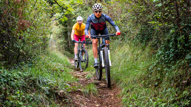 Les Jardins du Ségala