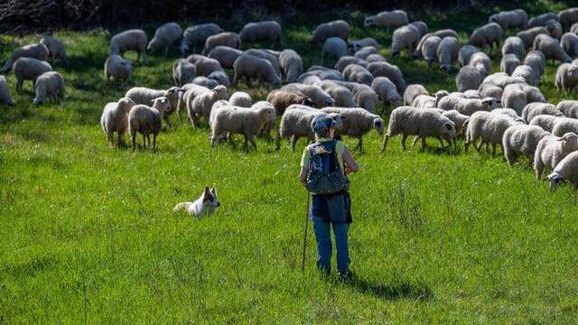 Exposition ParcourS - Partage des enjeux du pastoralisme avec éleveurs et acteurs du territoire
