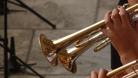 Festiv'Arts - la fanfare de la touffe