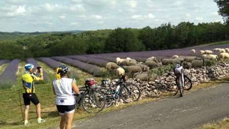 Les 46 km cyclo des lavandes