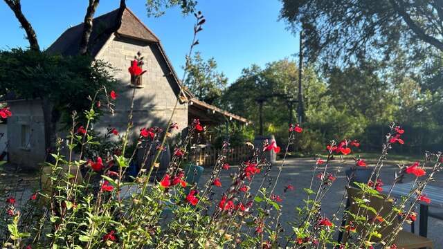 Gîte Noah avec spa privatif - Domaine de la Claire Fontaine