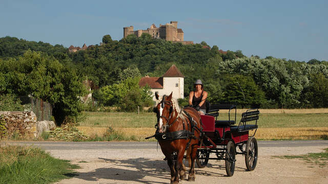 Les Calèches de Céline