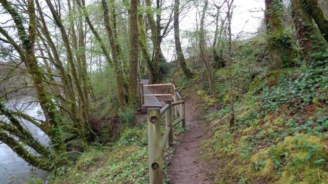 Les Bords de la Dordogne