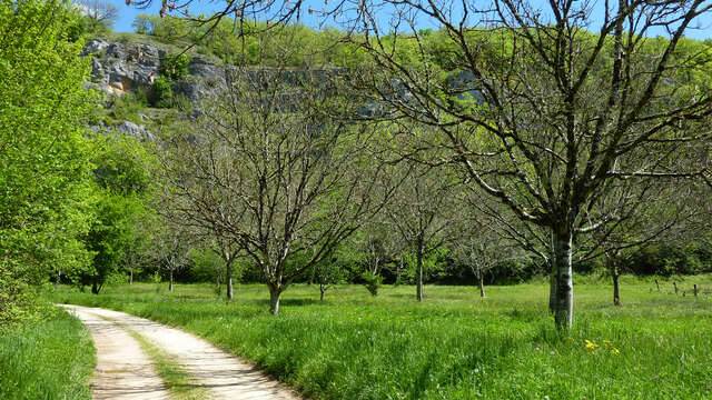 Entre Ouysse et Causse
